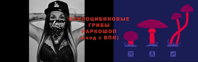 молекула духа Нефтегорск