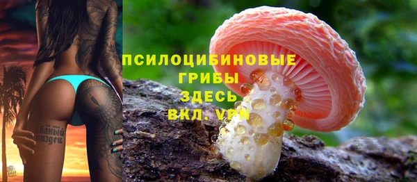 молекула духа Нефтегорск
