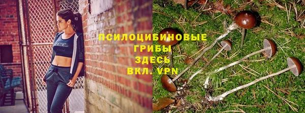 мдма Нефтекумск