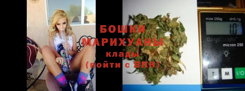 Конопля White Widow  Лихославль 